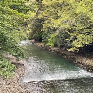 伊勢神宮 何がすごい