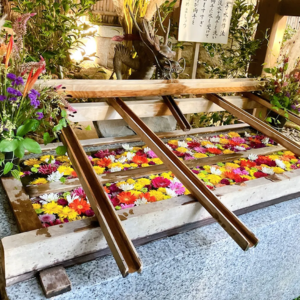 東京大神宮 効果すごい